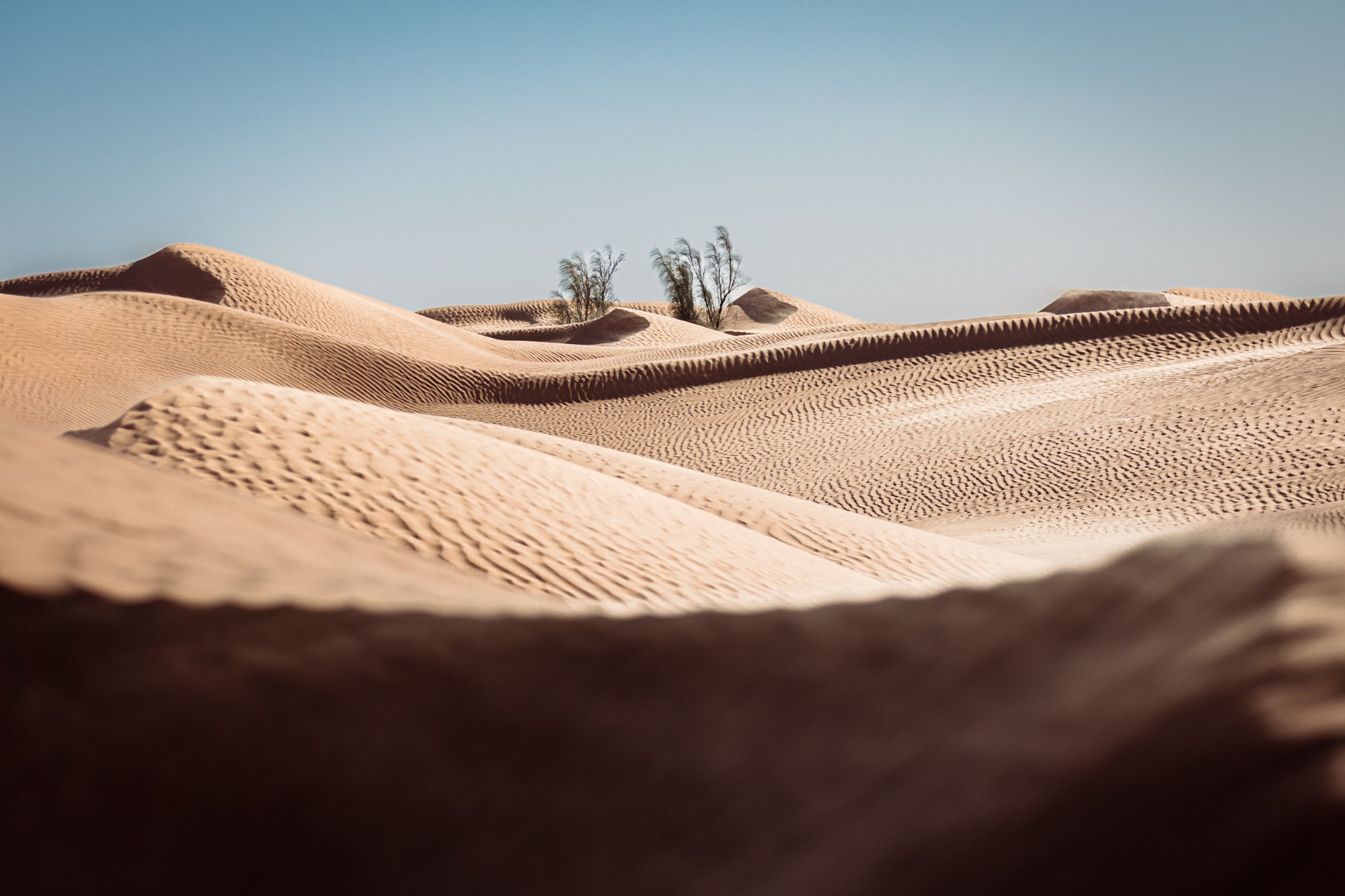 Participant au sommet d'une dune, Transfennec Tunisie